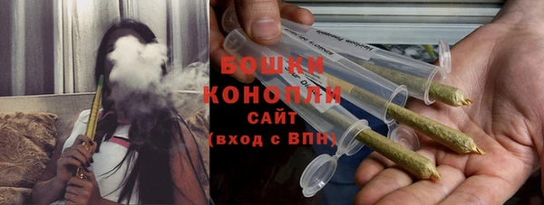 прущие грибы Баксан