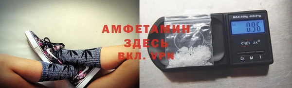 прущие грибы Баксан