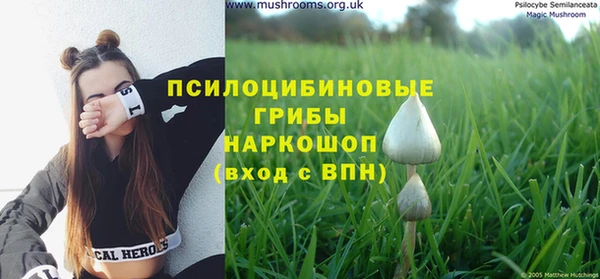 дживик Балахна