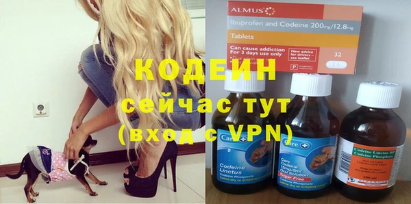 дживик Балахна