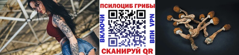 Псилоцибиновые грибы GOLDEN TEACHER Богородицк